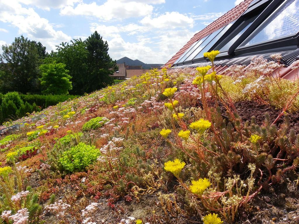 Fleur De Ciel Villa Loos-en-Gohelle Dış mekan fotoğraf