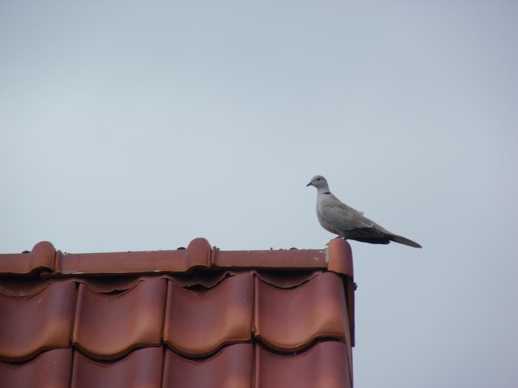 Fleur De Ciel Villa Loos-en-Gohelle Dış mekan fotoğraf