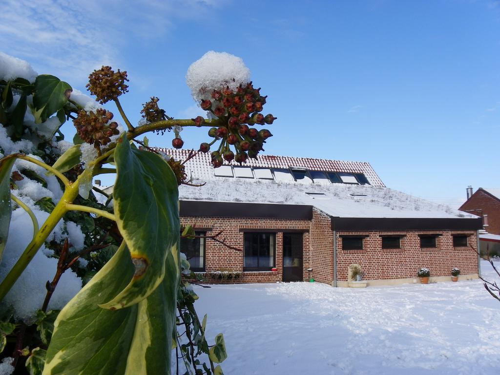 Fleur De Ciel Villa Loos-en-Gohelle Dış mekan fotoğraf